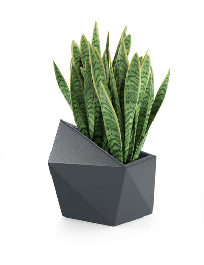 Āra puķu pods MONUMO ASTRO 47cm