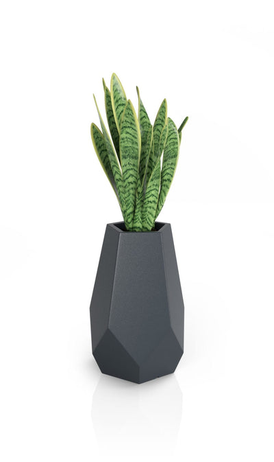 Āra puķu pods MONUMO BARI