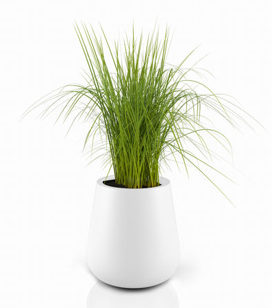 Āra puķu pods MONUMO LAGO Balts