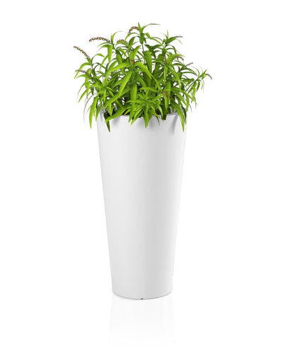 Puķu pods MONUMO HABANA Balts