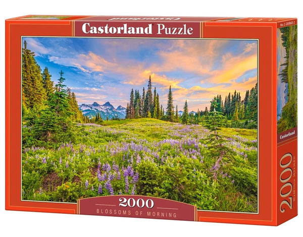 CASTORLAND Puzzle 2000 elementi Rīta ziedi - ainava 92x68cm