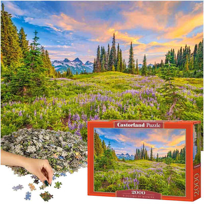 CASTORLAND Puzzle 2000 elementi Rīta ziedi - ainava 92x68cm
