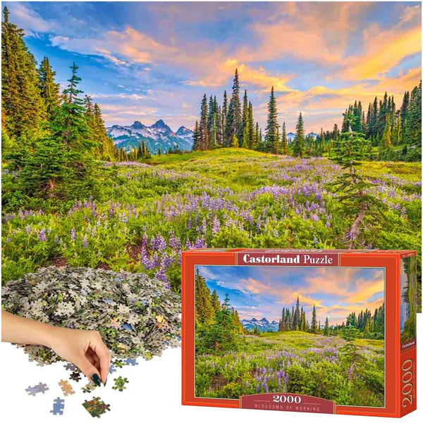 CASTORLAND Puzzle 2000 elementi Rīta ziedi - ainava 92x68cm