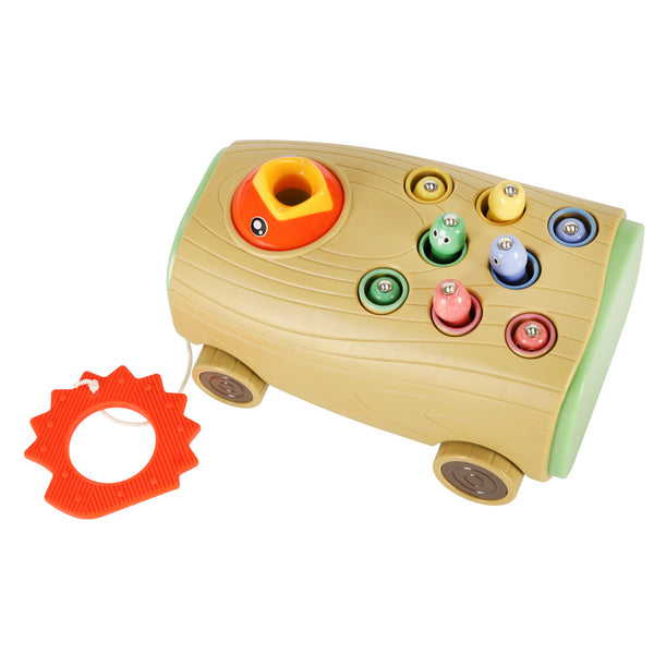 Magnētiskā spēle barot putnu uz riteņiem