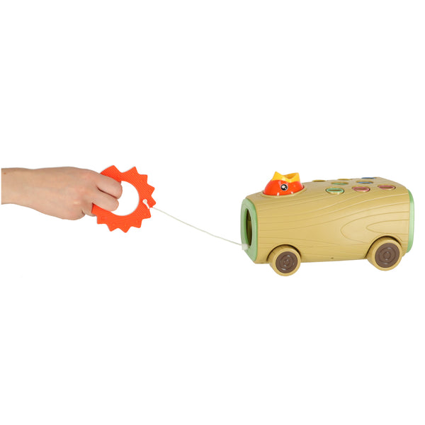 Magnētiskā spēle barot putnu uz riteņiem