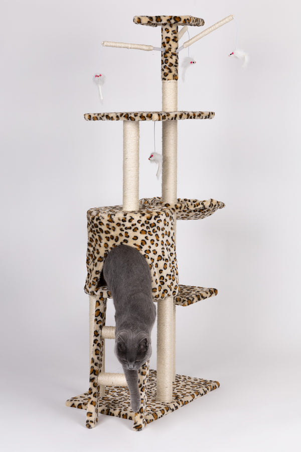 Kaķu māja GEPARD