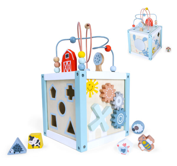 Wooden educational cube sorter + blocks ECOTOYS