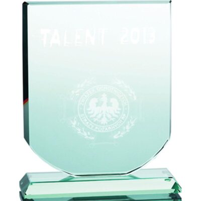 3D engraved glass trophy with case