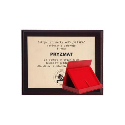 Plastic diploma with laminate engraving + case 250x200 mm