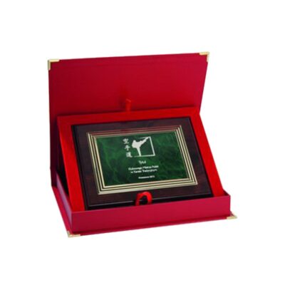 Plastic diploma with engraving on gold plate + ETUI