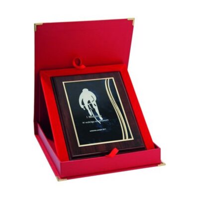 Plastic diploma with metal plate engraved + case