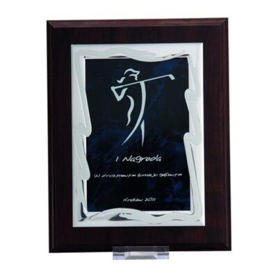 Plastic diploma with metal plate engraved