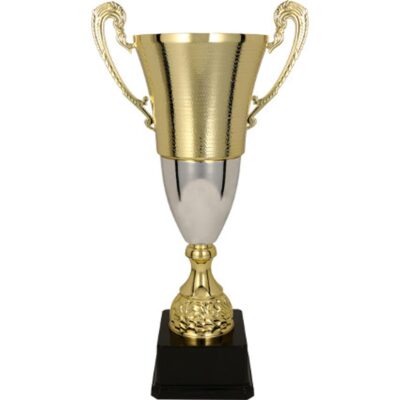 BALTA gold and silver metal cup