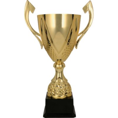 DARKA gold metal cup