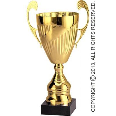 Золотая металлическая чашка T-S 7098C