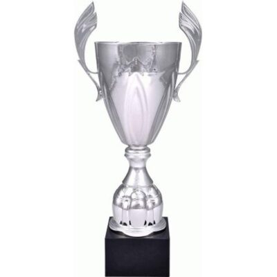Silver metal cup 4127A