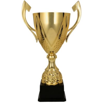 Золотая металлическая чашка DARKA 3133E