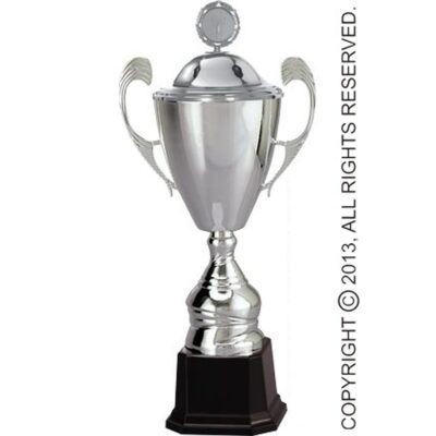 Silver metal cup with lid