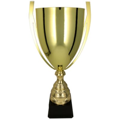 BASTER gold metal cup