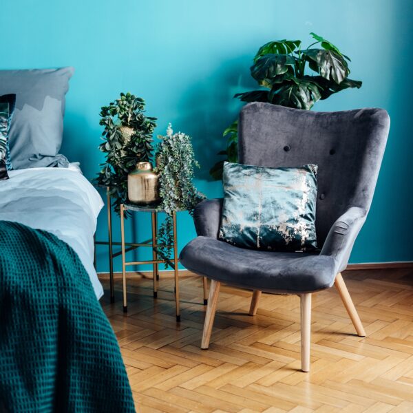 moss_szary moss_szary