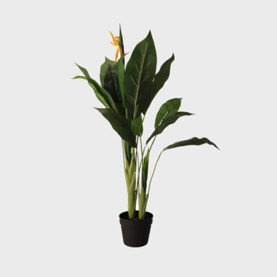 Artificial plant | AILIA | Strelitzia | 100 cm | 956537