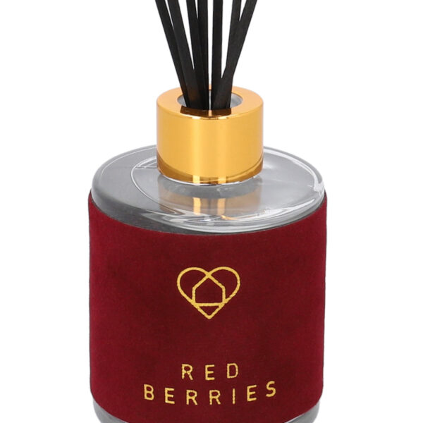 5904183820835_4 5904183820835_4