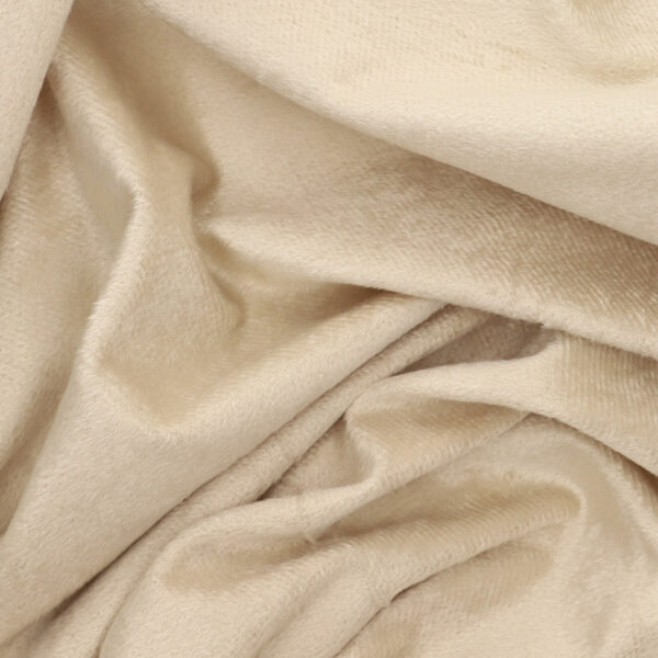 5904183855813_1 5904183855813_1