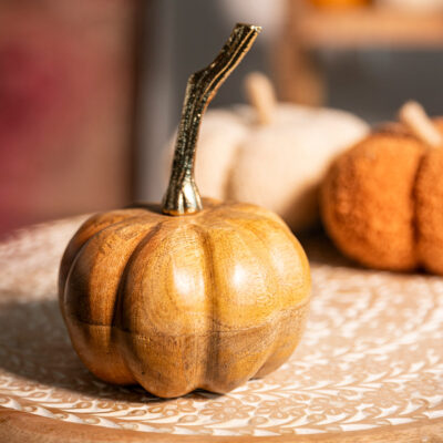 Pumpkin | ABBOU | mango wood | 19x12x12 | 864396