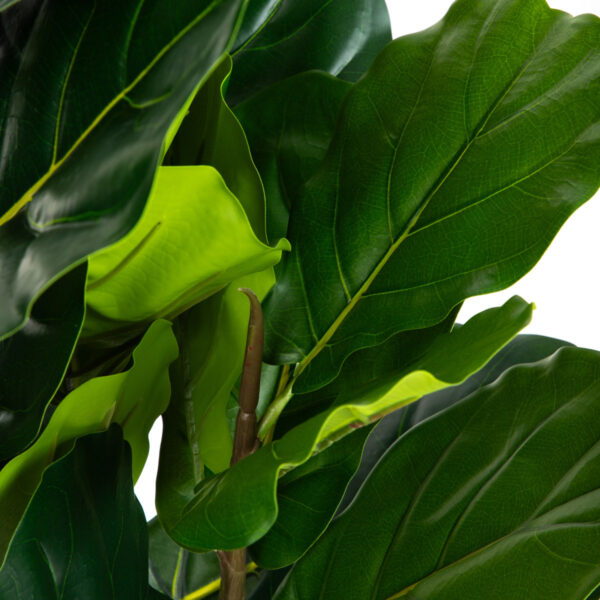 5904183874234_2 5904183874234_2