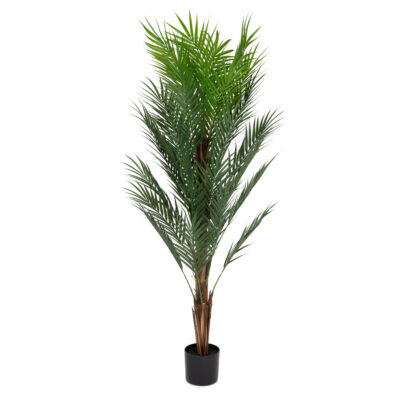 Artificial plant | TROPICAL ZONE | palm tree | 150 m | 874258
