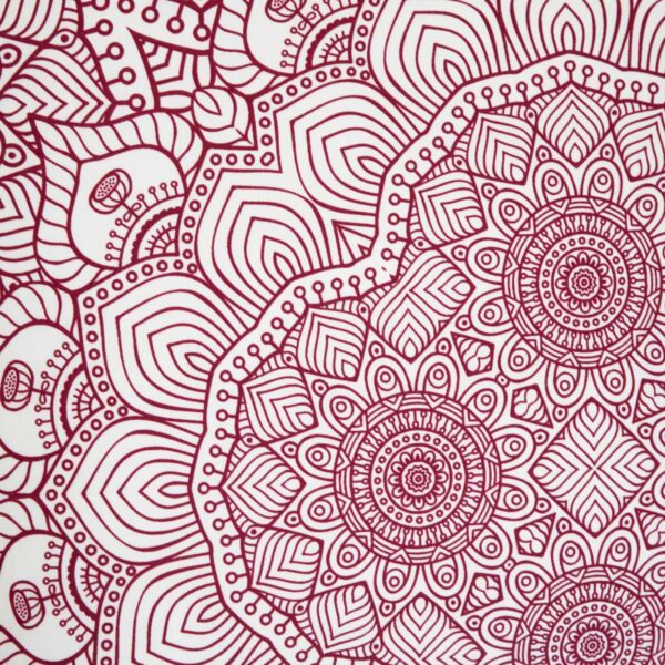 5904183880242_2 5904183880242_2