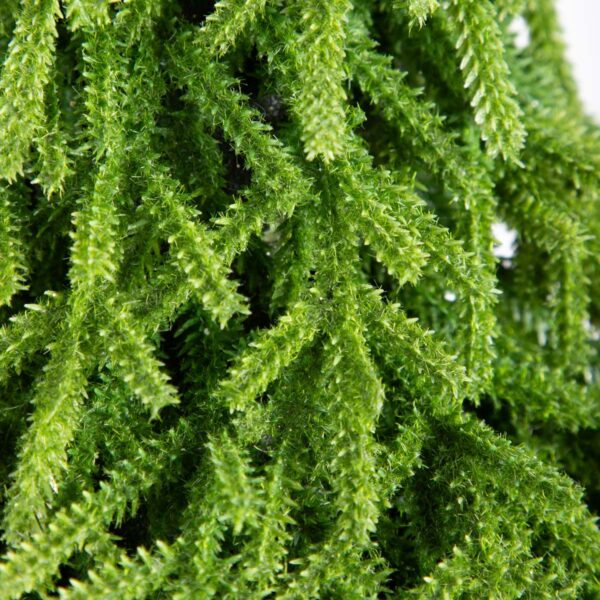 5906496714382_3 5906496714382_3