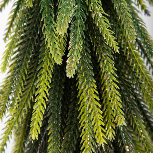 5906496715464_3 5906496715464_3