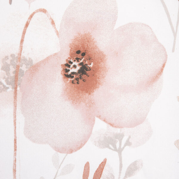 5906496755323_4 5906496755323_4