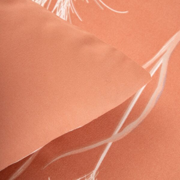 5906496755958_5 5906496755958_5