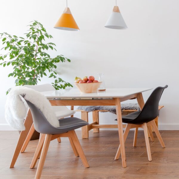 fico_kolor_wizerunek_1 fico_kolor_wizerunek_1