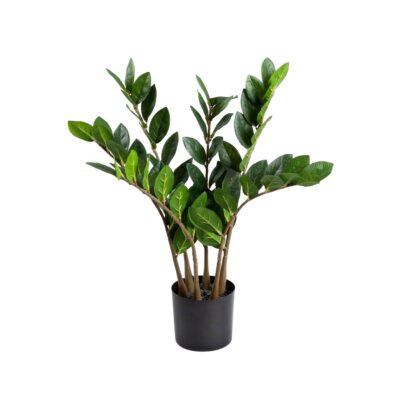 Artificial plant | TROPICAL ZONE | zamiokulkas | 45 cm | 730658