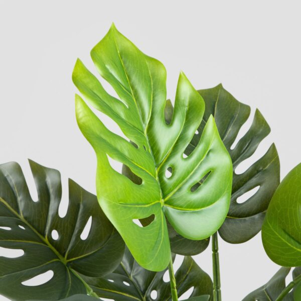 5906496730641_2 5906496730641_2