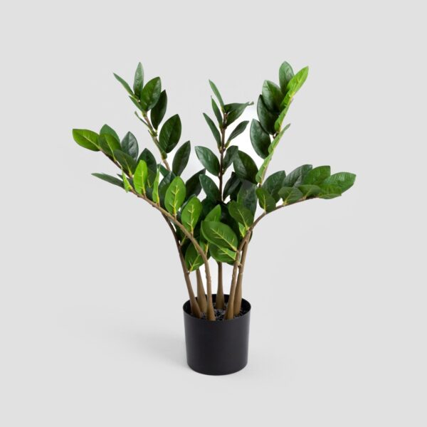 5906496730658_1 5906496730658_1