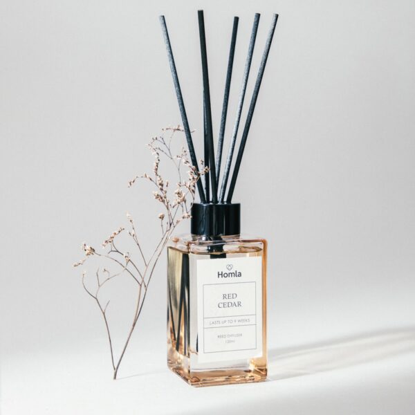 5906496748561_wpp 5906496748561_wpp