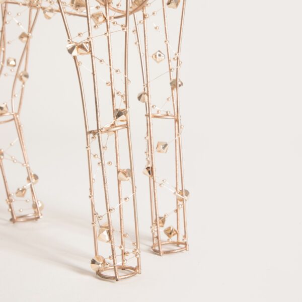 5906496754531_4 5906496754531_4