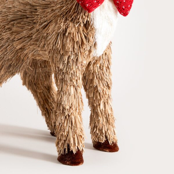 5906496754692_4 5906496754692_4