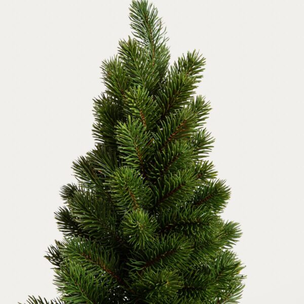 5906496754883_2 5906496754883_2