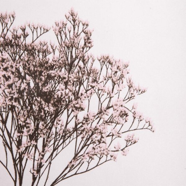 5906496755415_2 5906496755415_2