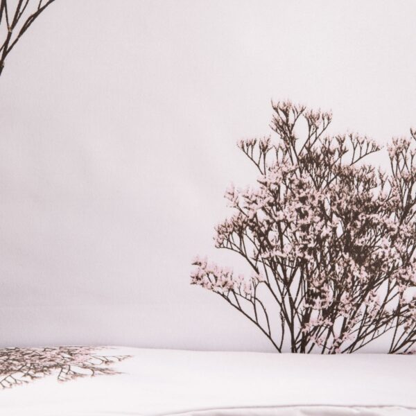 5906496755415_3 5906496755415_3