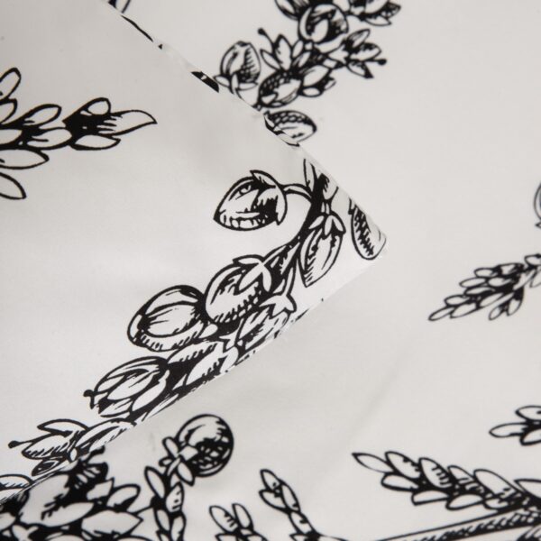 5906496755491_5 5906496755491_5