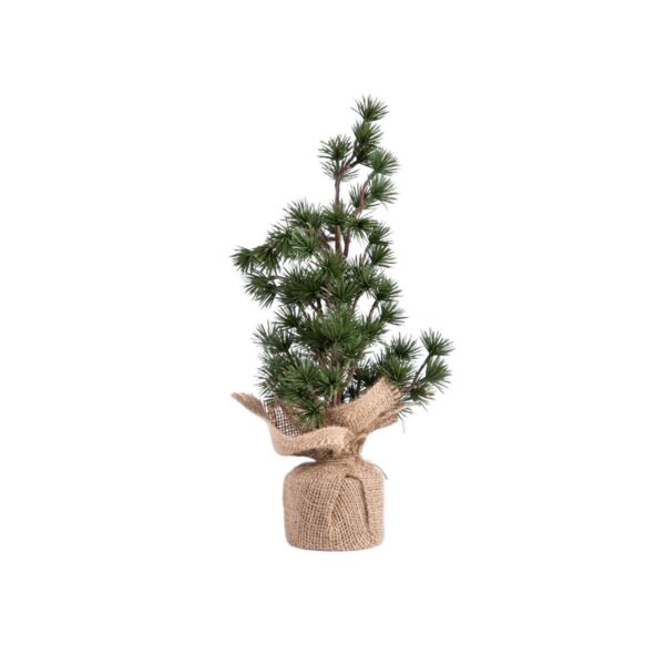 c5d12fc7408d52d6882aae767cd7b38c