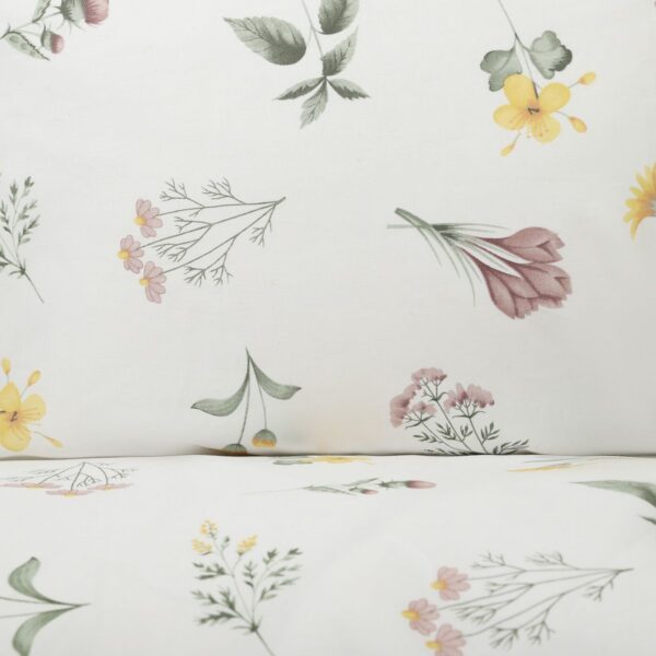 5904183811512_1a 5904183811512_1a