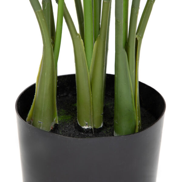 5904183874210_3 5904183874210_3