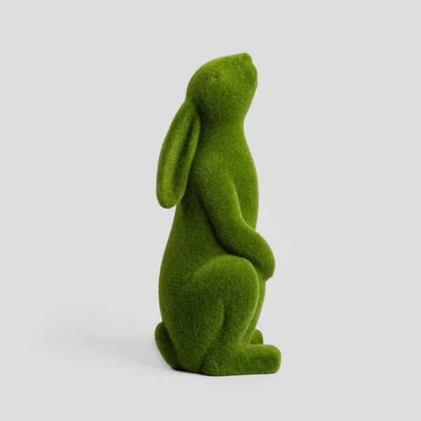 5906496725661_1 5906496725661_1